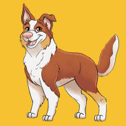 Chien de berger